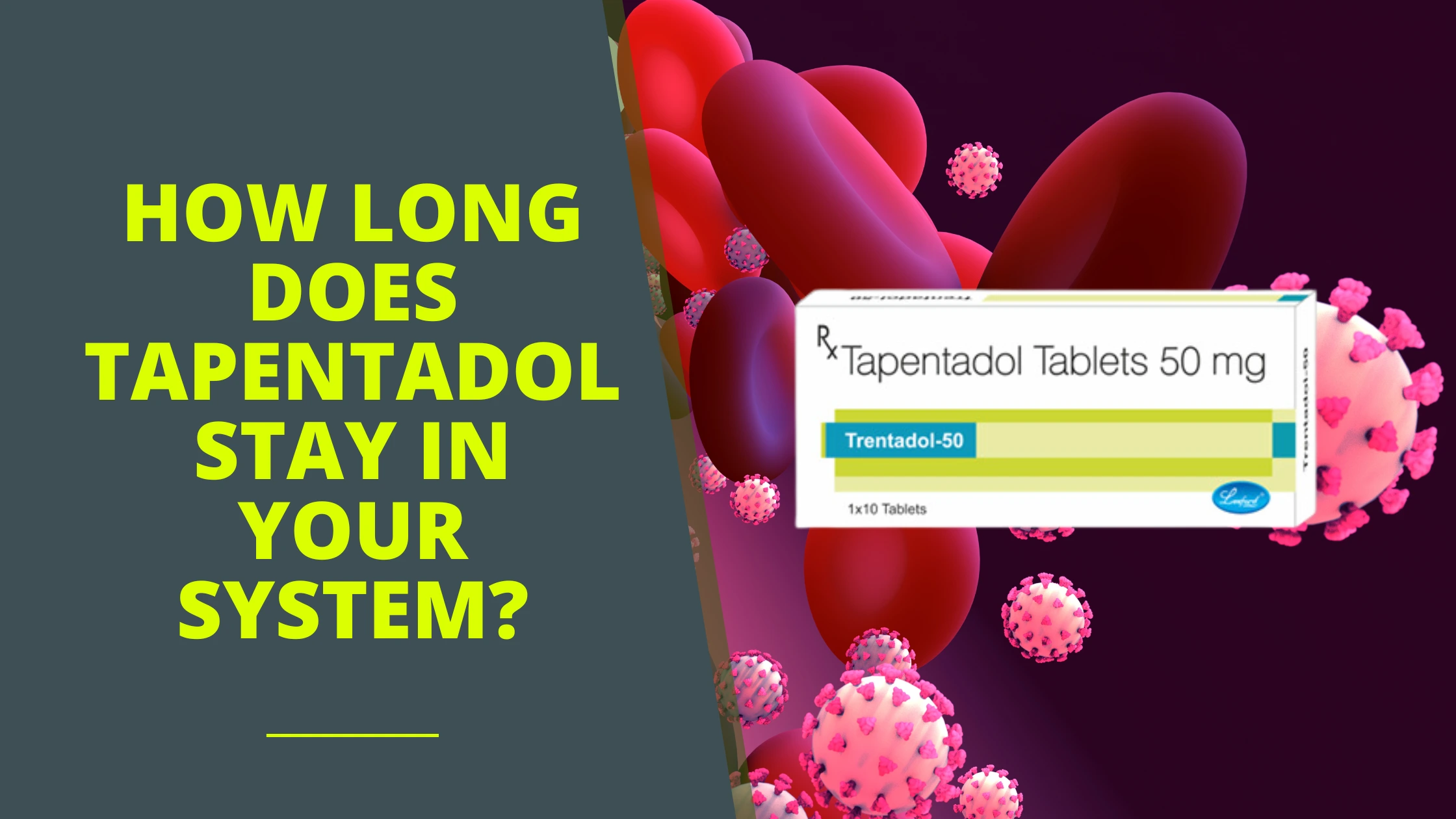 How long does Tapentadol stay in your system?